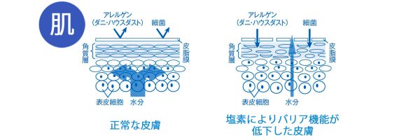 浄水シャワー